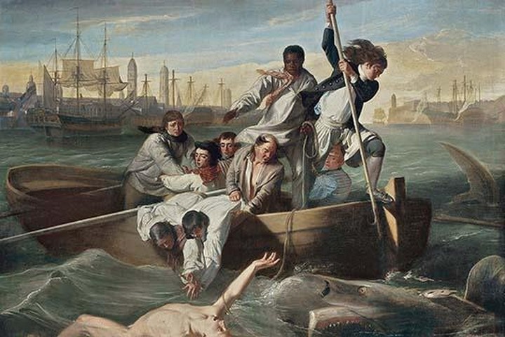 Primary image for Watson & The Shark by John Singleton Copley - Art Print