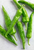 Variety SizeHatch Sandia Chili Pepper NuMex Hot Green Chile Ristra Seeds - £8.81 GBP+