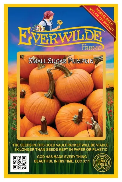 40 Small Sugar Pumpkin Seeds Farms Mylar Seed Packet Fresh Garden - £6.77 GBP
