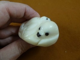 TNE-SEAL-470-D Seal Mama + little baby pup seals TAGUA NUT palm figurine... - $31.55