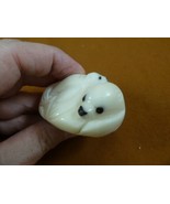 TNE-SEAL-470-D Seal Mama + little baby pup seals TAGUA NUT palm figurine... - $42.85 CAD