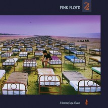 PINK FLOYD A Momentary Lapse of Reason BANNER 2x2 Ft Fabric Poster Tapestry Flag - $22.00