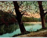 River Landscape View Drew Mississippi MS Cancel 1908 DB Postcard K8 - $6.88