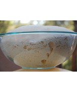 authentic SOURDOUGH STARTER yeast San Francisco BEAST+ RECIPES10 starter... - $7.75