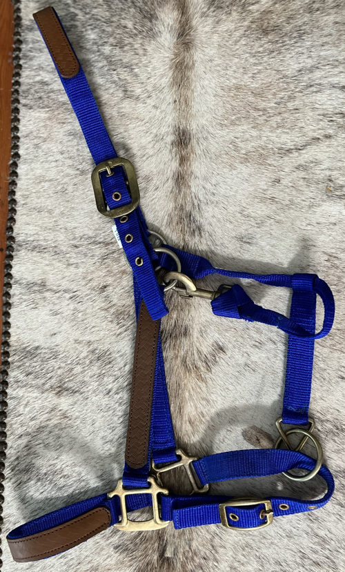 Primary image for Abetta Blue Nylon Halter with Leather on cheeks nose and crown NEW Horse Size