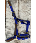 Abetta Blue Nylon Halter with Leather on cheeks nose and crown NEW Horse... - £11.93 GBP