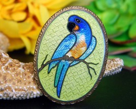 Vintage Parrot Macaw Bird Guilloche Cloisonne Oval Brooch Pin Enamel - $34.95