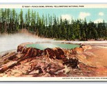 Punch Ciotola Molla Yellowstone National Park Wyoming Unp Lino Cartolina... - $3.03