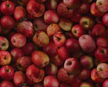 Cotton Apples Fruits Food Red Red Fabric Print by Yard D566.09 - $14.95