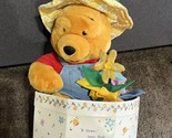 Rare Disney Store Exclusive Winnie The Pooh Easter Spring Plush flower h... - $24.70