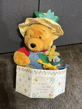 Rare Disney Store Exclusive Winnie The Pooh Easter Spring Plush flower hat box - £19.68 GBP