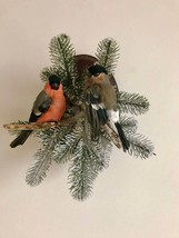 Stuffed composition two bullfinch Taxidermy winter BIRD bullfinch Real B... - $360.00