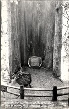 Shrine of the Redwoods Trees of Mystery Park California RPPC Postcard Z27 - £5.53 GBP