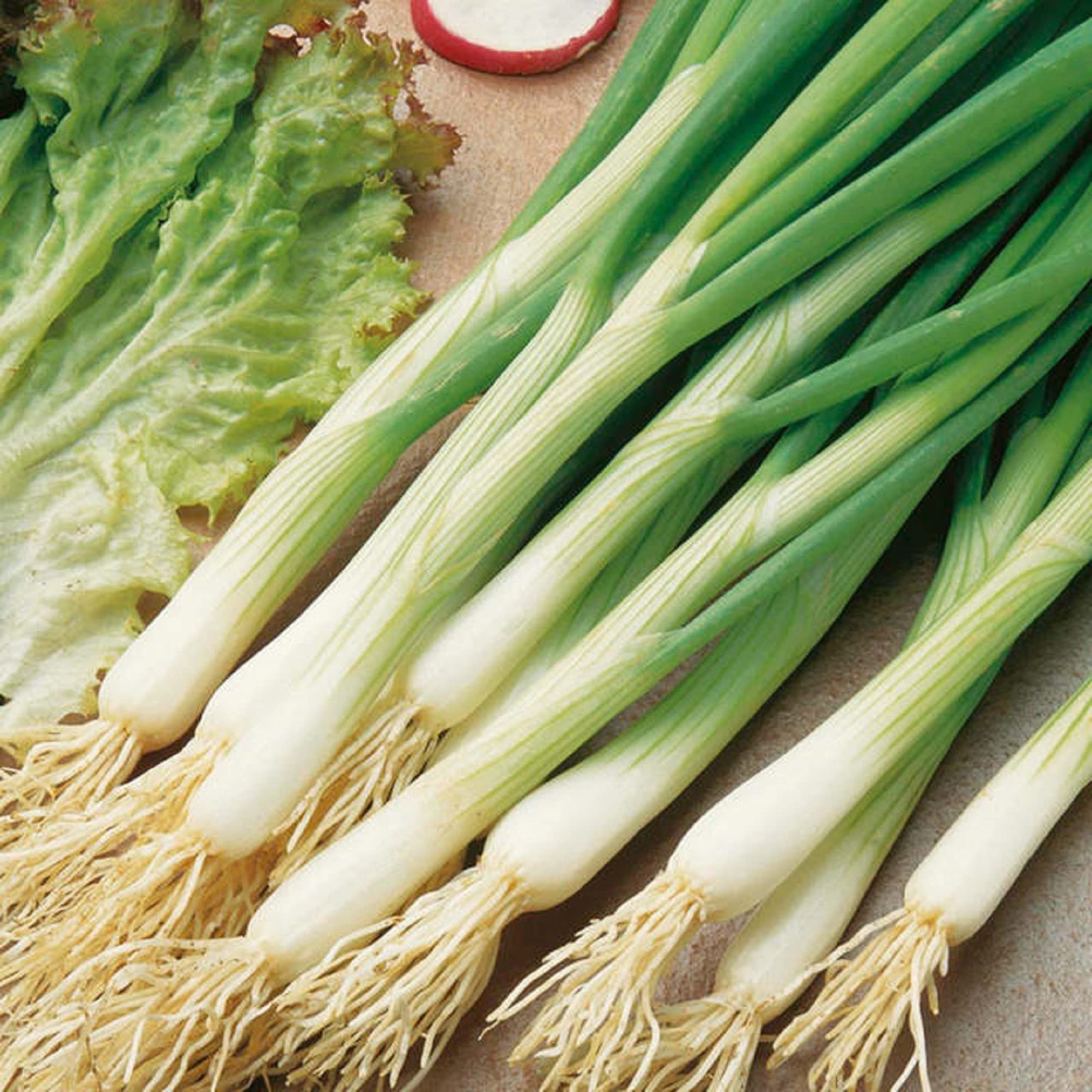 200 White Lisbon Scallion Seeds – Hardy, Fast-Growing, Non-GMO - $5.98