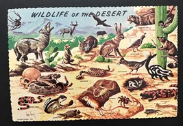 1958 Die-Cut Postcard Wildlife of the Desert Petley Studios - £3.12 GBP