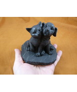 SH-CATDOG-3) little black Cat &amp; Dog figurine detailed Shungite carving l... - £38.37 GBP
