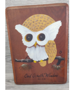 Hand Painted 7x10 Wooden Baby Owl In A Tree With Bible Verse Hanging Vin... - £19.97 GBP