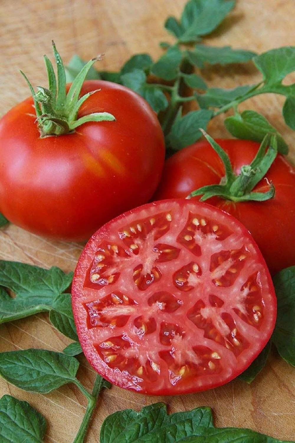 50 Seeds Santa Clara Canner Tomato Vegetable Garden - £7.76 GBP