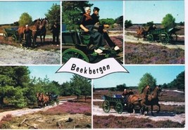 Holland Netherlands Postcard Beekbergen Multi View Horses Wagons - £1.63 GBP