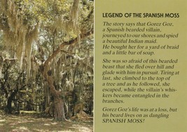 Postcard Legend of the Spanish Moss Southern Tree Unused Continental Card - £5.52 GBP