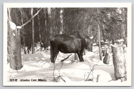 Alaska RPPC Beautiful Cow Moose in Forest Snow Scene Postcard C26 - £14.90 GBP