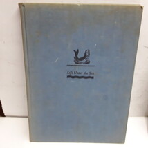 Item image 1 image 1