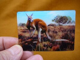 (MAG-1) 3D MAGNET Fridge refrigerator Kangaroo in the outback bush kanga... - $7.99
