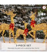 Christmas Deer Set 3-Piece Family Lighted Outdoor Decor LED Lights All-W... - £201.97 GBP