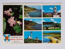 NOVA SCOTIA MAYFLOWER POSTCARD VINTAGE NOS UNUSED CANADA CANADIAN TRAVEL... - £9.58 GBP