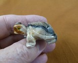 Y-TUR-LA-64) Tortoise land turtle carving SOAPSTONE FIGURINE love little... - $8.59