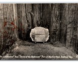 RPPC Cathedral Tree Shrine of the Redwoods Redwood Highway CA Postcard W16 - $2.92