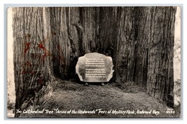 RPPC Cathedral Tree Shrine of the Redwoods Redwood Highway CA Postcard W16 - £2.29 GBP