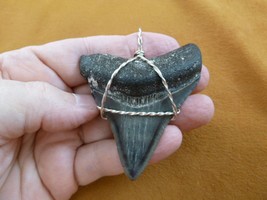 (s280-35) Great 2-5/8&quot; Fossil MEGALODON Shark Tooth silver wired pendant... - £206.61 GBP