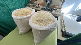 10 Lb Fresh smelling natural sawdust from high quality wood, chemical fr... - $30.00
