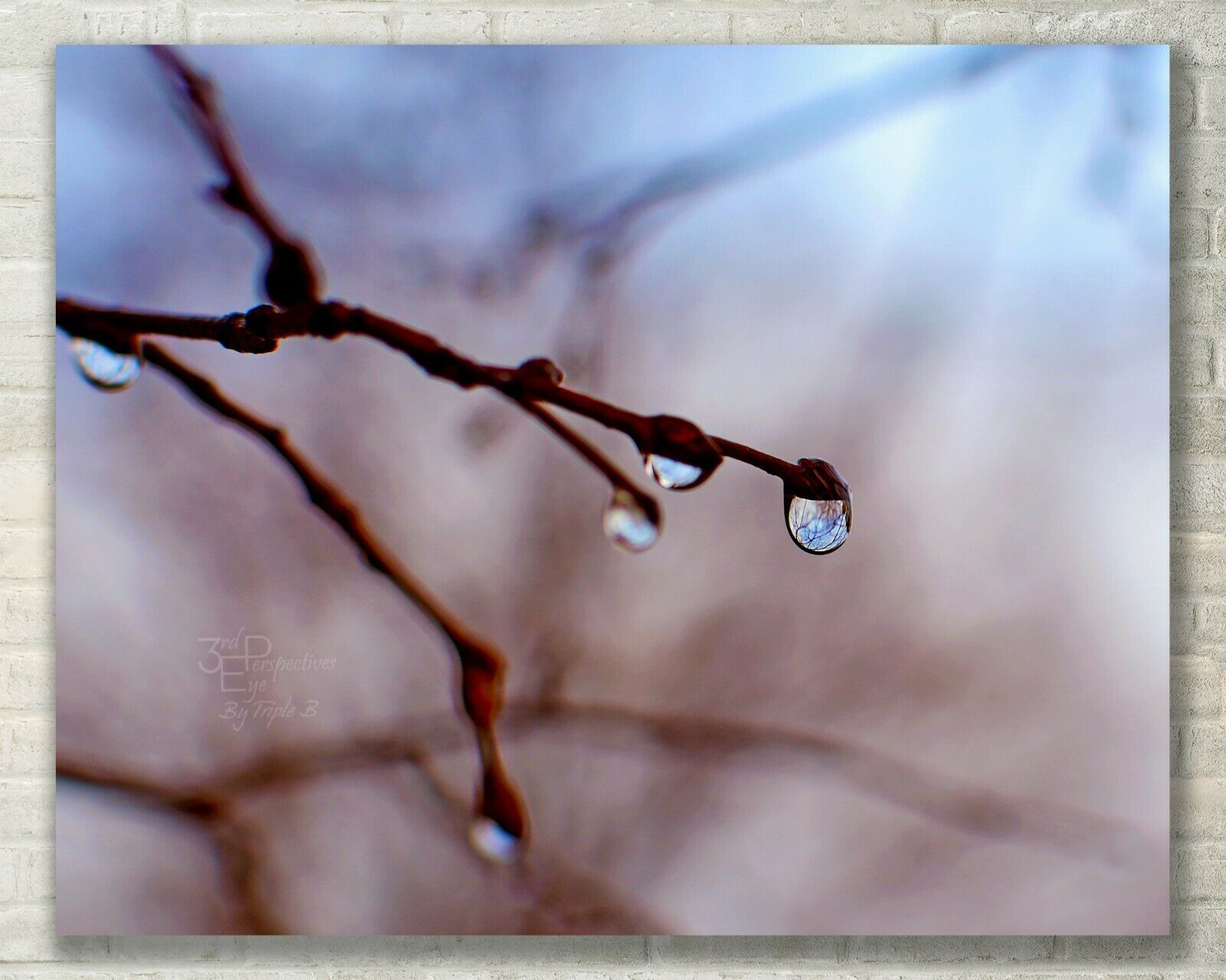 Winter Tree &amp; Water Drops, Abstract Nature Art - Photo on Metal, Canvas ... - $31.50+