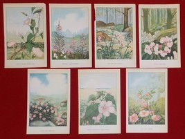 Lot of 7 PINK Flower Book Plate Prints &quot;Wild Flower&quot;, by L A Simonsen, 1926 A8 - £14.01 GBP