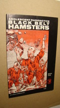 ADOLESCENT RADIOACTIVE BLACKBELT HAMSTERS 1 *HIGH GRADE* TMNT RIPOFF SPOOF - £5.30 GBP