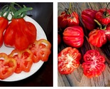 400 Seeds Tlacolula Tomato Vegetable, Edible &amp; Ornamental Plants, Organic - £29.05 GBP