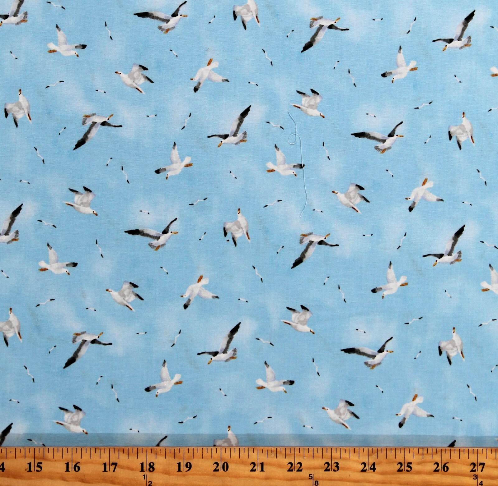 Cotton Seagulls Animals Birds Sky Skies Blue Fabric Print by Yard D481.56 - $14.95