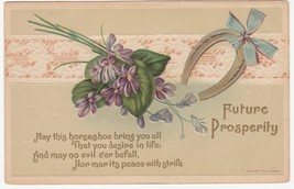 Vintage Postcard Future Prosperity Horseshoe Purple Flowers 1911 Embossed - £6.17 GBP