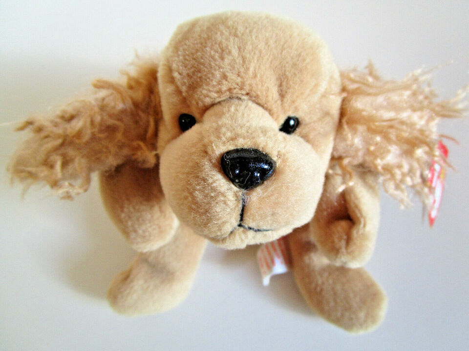 Primary image for TY Beanie Babies SPUNKY COCKER SPANIEL DOG PLUSH Stuffed TOY 1997 NEW w/tag