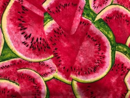 Cotton Watermelons Fruits Summers Pink Green Fabric Print by the Yard D578.53 - £8.79 GBP