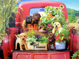 Kodak Stowaways Puzzle Puppy Dog Red Pickup Truck Farm Market Produce 10... - $9.80