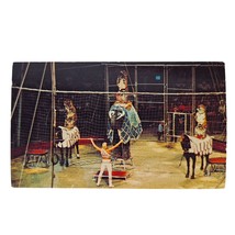 Postcard Ringling Brothers Barnum &amp; Bailey Circus Acclaimed Animal Maste... - £5.54 GBP
