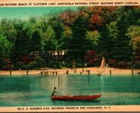 Vintage Linen Postcard - Bathing Beach at Cliffside Lake, Nantahala Fore... - $2.92