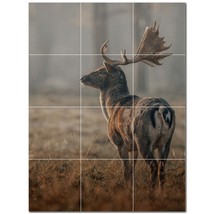 Deer Ceramic Tile Wall Mural Kitchen Backsplash Bathroom Shower P500448 - $120.00+