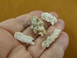 r362-41) 4 piece set 1/2 1-1/8&quot; Fulgurites lightning strike beach sand glass GA - $21.49