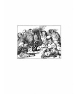 Alice In Wonderland Giclee Print From Sir John Tenniel- A Queer Looking ... - $32.16 CAD