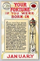 Birthday Your Fortune If You Were Born In January Snowdrop Garnet Postcard R26 - £7.12 GBP