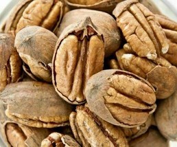 Texas Pecans Whole With Shell Fresh Crop Easy To Crack Organic Candy Pie Choctaw - £20.55 GBP+